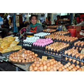 Egg Vendor