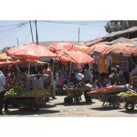 Vegetable Cart Vendor
